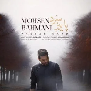 محسن بهمنی
